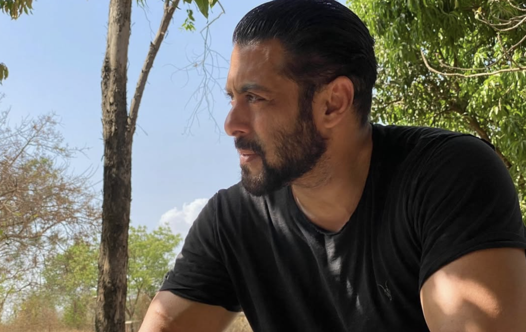 सलमान खान नेट वर्थ